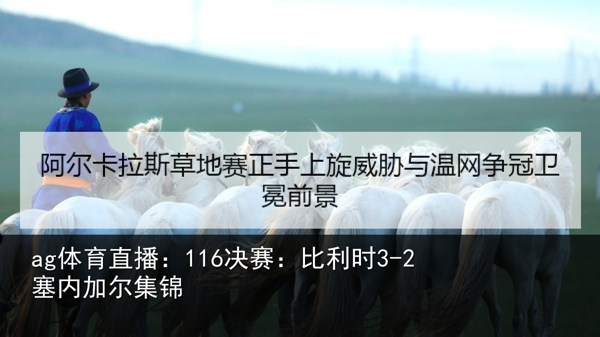 ag体育直播：116决赛：比利时3-2塞内加尔集锦