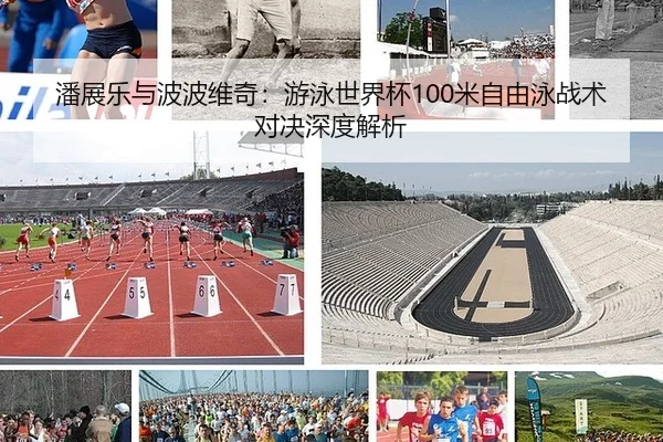 潘展乐与波波维奇：游泳世界杯100米自由泳战术对决深度解析