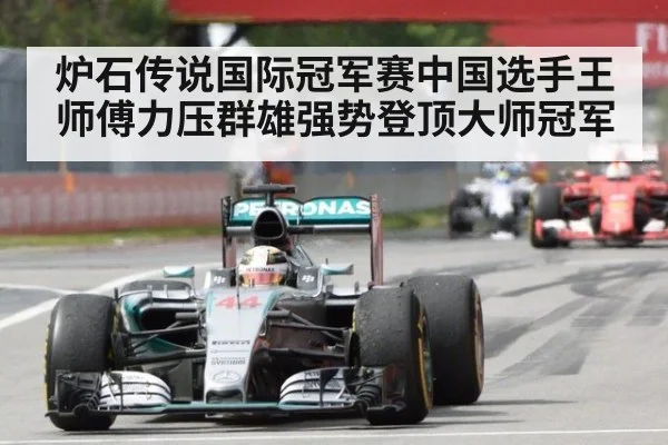 炉石传说国际冠军赛中国选手王师傅力压群雄强势登顶大师冠军