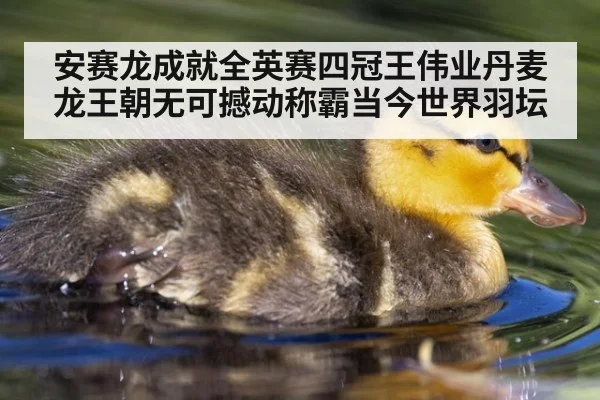 安赛龙成就全英赛四冠王伟业丹麦龙王朝无可撼动称霸当今世界羽坛